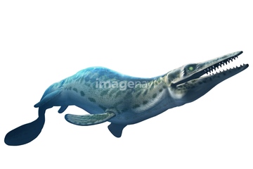 モササウルス の画像素材 生き物 イラスト Cgの写真素材ならイメージナビ