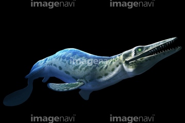 モササウルス の画像素材 生き物 イラスト Cgの写真素材ならイメージナビ