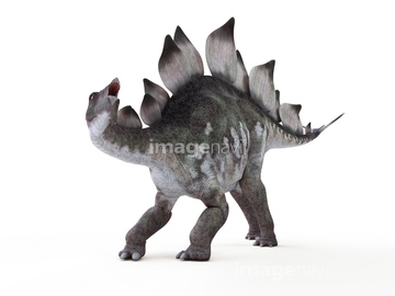 恐竜 絶滅 ステゴサウルス の画像素材 生き物 イラスト Cgの写真素材ならイメージナビ