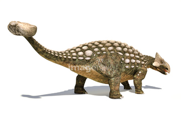 恐竜 アンキロサウルス の画像素材 生き物 イラスト Cgの写真素材ならイメージナビ