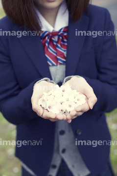 子供 手 花 大人 持つ イラスト 妊婦 手のひら の画像素材 体のパーツ 人物の写真素材ならイメージナビ