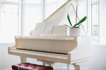 グランドピアノ の画像素材 楽器 オブジェクトの写真素材ならイメージナビ