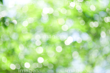 木漏れ日 の画像素材 花 植物 イラスト Cgの写真素材ならイメージナビ