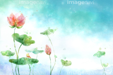 水彩画 花 ハスの花 イラスト の画像素材 テーマ イラスト Cgのイラスト素材ならイメージナビ