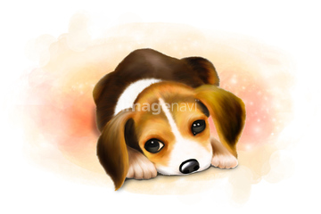 中型犬 イラスト ビーグル イヌ かわいい の画像素材 年賀 グリーティングのイラスト素材ならイメージナビ