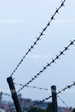 有刺鉄線 の画像素材 ヨーロッパ 国 地域の写真素材ならイメージナビ