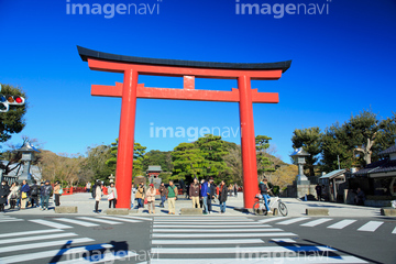 鶴岡八幡宮 の画像素材 日本 国 地域の写真素材ならイメージナビ