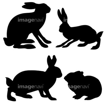 ウサギ シルエット 綺麗 の画像素材 バックグラウンド イラスト Cgの写真素材ならイメージナビ