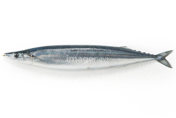 サンマ の画像素材 魚介 食べ物の写真素材ならイメージナビ