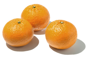 夏みかん オレンジ色 ロイヤリティフリー の画像素材 健康管理