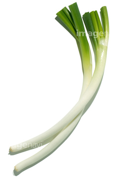 長葱 曲がりネギ の画像素材 健康食品 美容 健康の写真素材ならイメージナビ