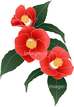 イラスト Cg 花 植物 梅 ツバキ 赤色 の画像素材 イラスト素材ならイメージナビ