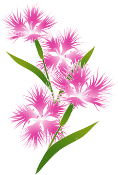画像素材 花 植物 イラスト Cgの写真素材ならイメージナビ