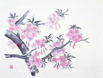 水墨画 花 桜 の画像素材 季節 イベント イラスト Cgの写真素材ならイメージナビ