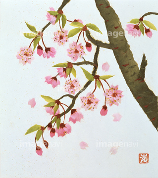 ちぎり絵 桜 の画像素材 樹木 花 植物の写真素材ならイメージナビ