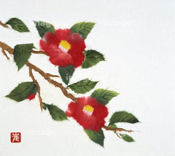 椿 イラスト 和風 の画像素材 花 植物 イラスト Cgのイラスト素材ならイメージナビ