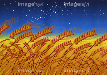 畑 麦畑 イラスト の画像素材 花 植物 イラスト Cgのイラスト素材ならイメージナビ