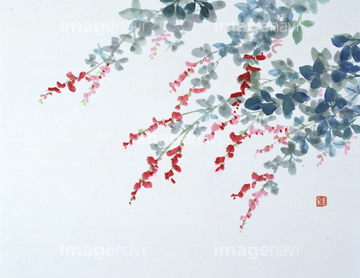 絵画 花 日本画 水墨画 の画像素材 テーマ イラスト Cgの美術 歴史写真ならイメージナビ
