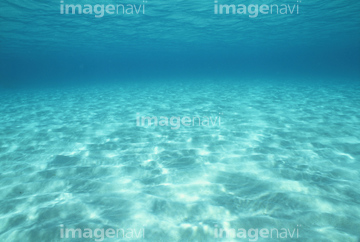 海中写真 海底 Lip の画像素材 海 自然 風景の写真素材ならイメージナビ