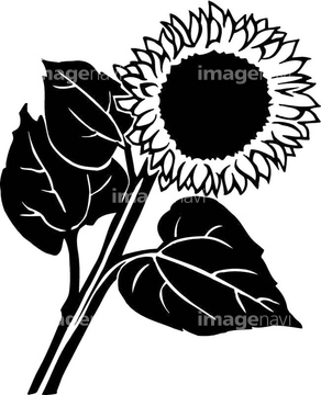 季節のイラスト ひまわり イラスト の画像素材 花 植物 イラスト Cgのイラスト素材ならイメージナビ