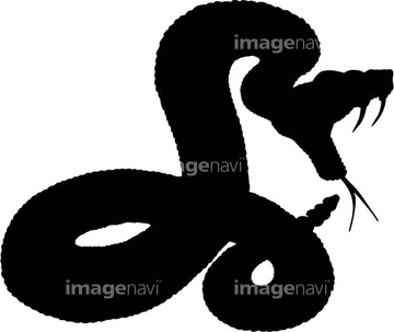 動物のイラスト ヘビ イラスト の画像素材 生き物 イラスト Cgのイラスト素材ならイメージナビ