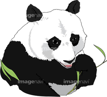 動物のイラスト パンダ イラスト の画像素材 生き物 イラスト Cgのイラスト素材ならイメージナビ