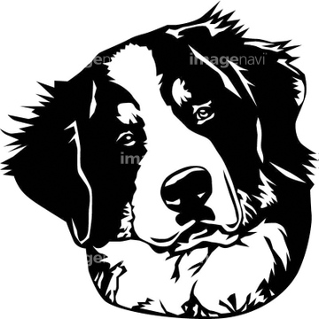 犬のイラスト特集 バーニーズマウンテンドッグ Dog イラストデータ イラスト の画像素材 生き物 イラスト Cgの写真素材ならイメージナビ
