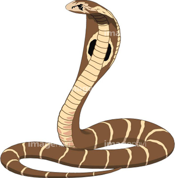 最も好ましい かわいい コブラ 蛇 イラスト