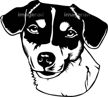 犬のイラスト特集 ジャックラッセルテリア イラスト の画像素材 生き物 イラスト Cgのイラスト素材ならイメージナビ
