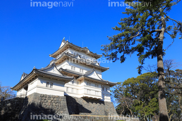 小田原城 の画像素材 日本 国 地域の写真素材ならイメージナビ
