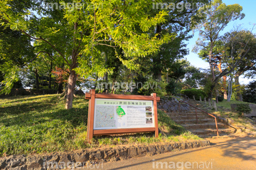 世田谷公園 の画像素材 空 自然 風景の写真素材ならイメージナビ