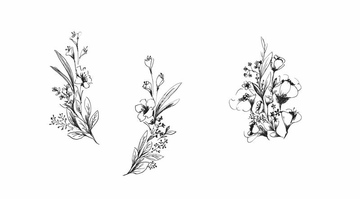イラスト Cg 花 植物 その他の花 の画像素材 イラスト素材ならイメージナビ