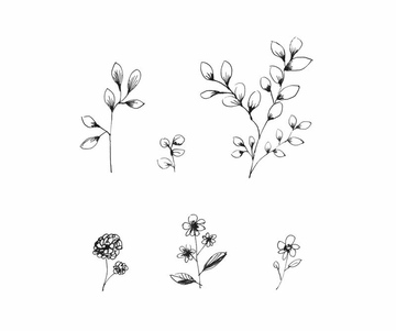 Line Art 手書き の画像素材 花 植物 イラスト Cgの写真素材ならイメージナビ