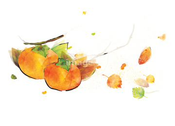 季節のイラスト 秋の食べ物 イラスト の画像素材 季節 イベント イラスト Cgのイラスト素材ならイメージナビ