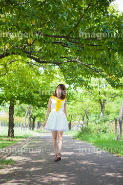 木陰 夏 秋 冬 街路樹 1人 の画像素材 樹木 花 植物の写真素材ならイメージナビ