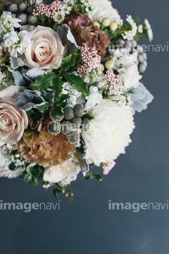 花 植物 花 フラワーアレンジメント の画像素材 写真素材ならイメージナビ