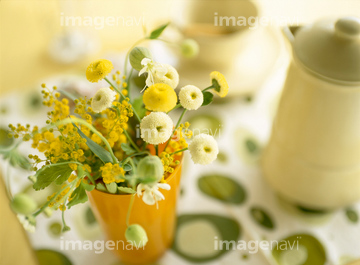 生け花 フラワーアレンジメント の画像素材 花 植物の写真素材ならイメージナビ