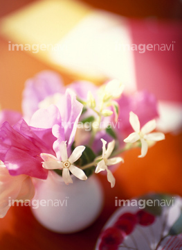 スイートピー 生け花 フラワーアレンジメント の画像素材 誕生日 行事 祝い事の写真素材ならイメージナビ