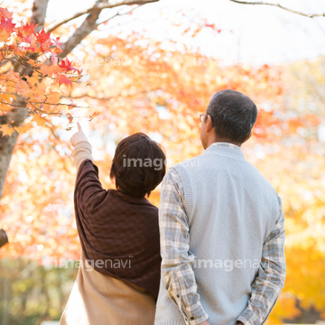 老夫婦 後ろ姿 日本人 の画像素材 家族 人間関係 人物の写真素材ならイメージナビ