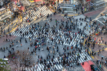 渋谷駅前交差点 の画像素材 日本 国 地域の写真素材ならイメージナビ