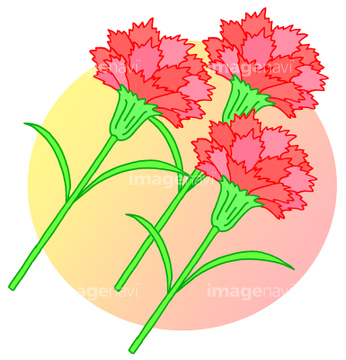 カーネーション の画像素材 人物 イラスト Cgの写真素材ならイメージナビ