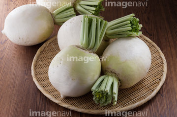 食べ物 野菜 京野菜 の画像素材 写真素材ならイメージナビ