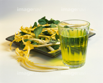 タンポポ 葉脈 の画像素材 葉 花 植物の写真素材ならイメージナビ