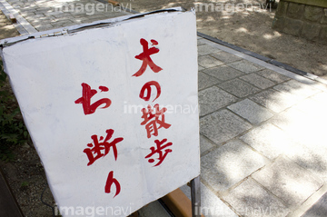 看板犬 の画像素材 ペット 生き物の写真素材ならイメージナビ 看板犬 の画像素材 ペット 生き物の写真素材ならイメージナビ