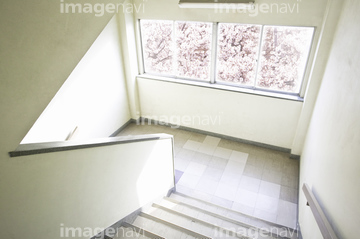 階段 踊り場 春 の画像素材 写真素材ならイメージナビ
