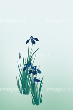 画像素材 花 植物 イラスト Cgの写真素材ならイメージナビ