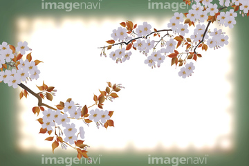 春のイラスト お花見 綺麗 イラスト の画像素材 季節 イベント イラスト Cgのイラスト素材ならイメージナビ