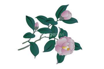 椿 イラスト 和風 春 の画像素材 花 植物 イラスト Cgのイラスト素材ならイメージナビ 椿 イラスト 和風 春 の画像素材 花 植物 イラスト Cgのイラスト素材ならイメージナビ
