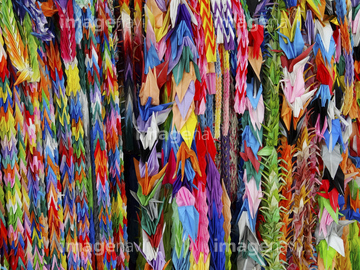 千羽鶴 の画像素材 お祝い事 弔事 ライフスタイルの写真素材ならイメージナビ