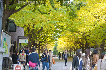 大学 キャンパス 私立大学 ロイヤリティフリー の画像素材 日本 国 地域の写真素材ならイメージナビ